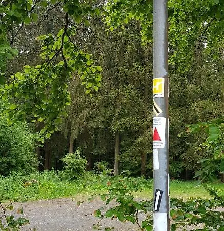 Mollseifen