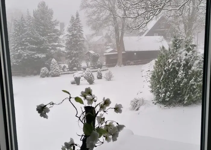 Mollseifen فندق 3*